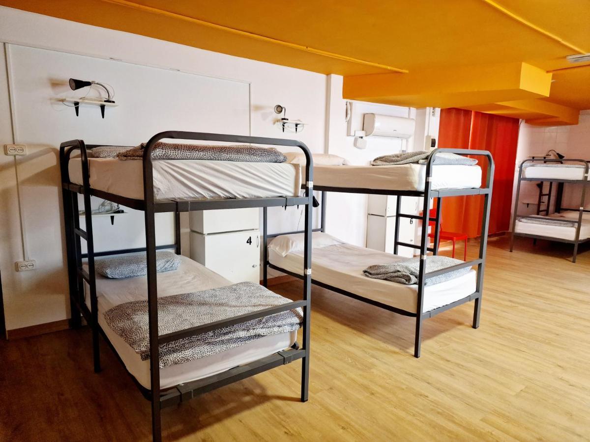 Bunk Bed in 10-Bed Mixed Dormitory Room