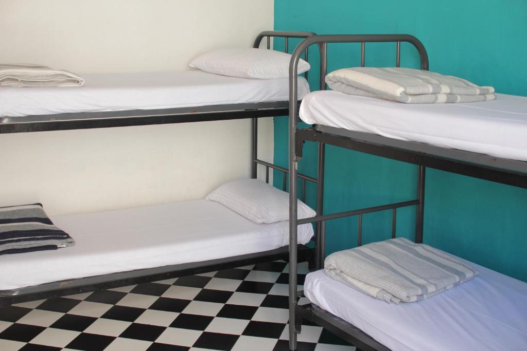 Bed in 4-Bed Dormitory Room with Shared Bathroom