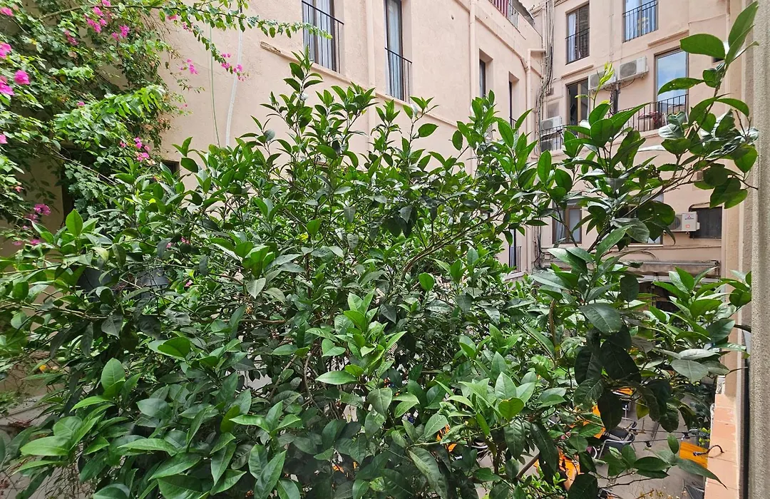 Hotel Palermo-1