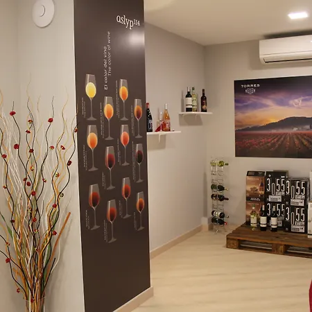Hostal Aslyp 114-3
