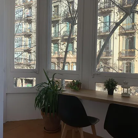 Coimpact Coliving - Hostel-3