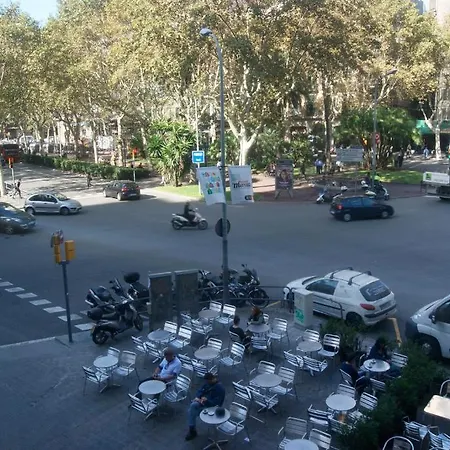 Q Barcelona-3